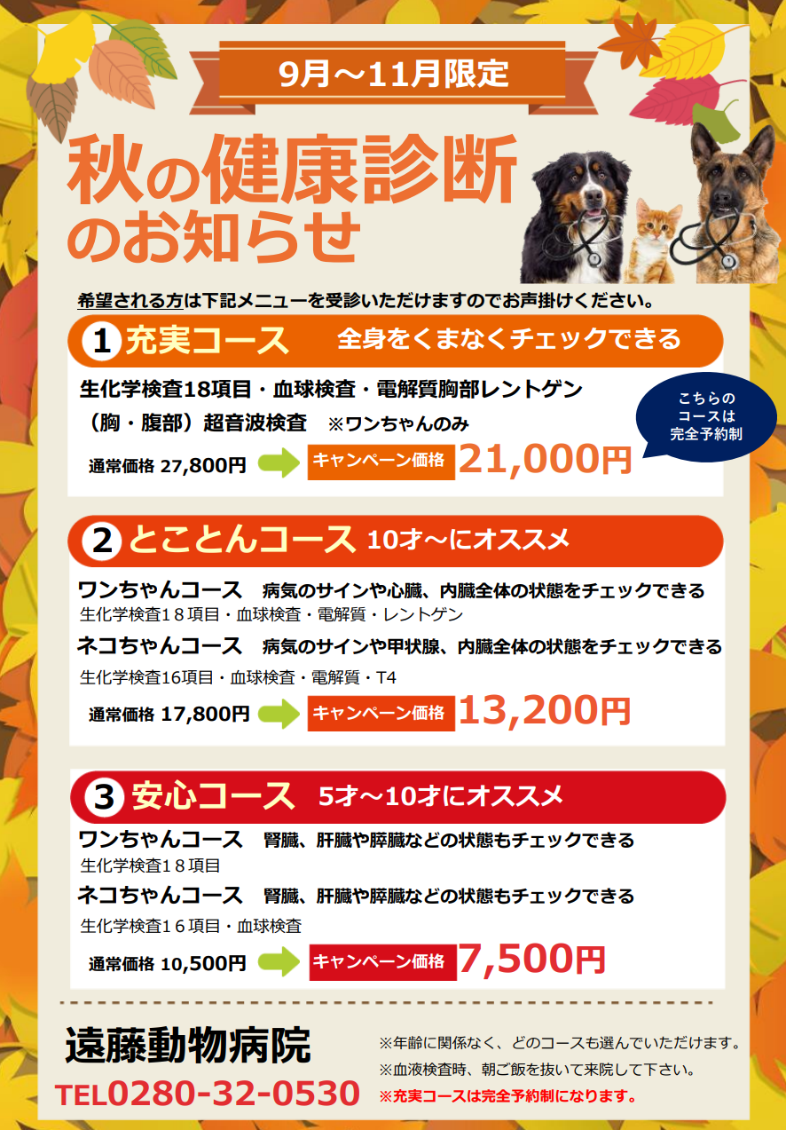 古河市で評判の動物病院 遠藤動物病院